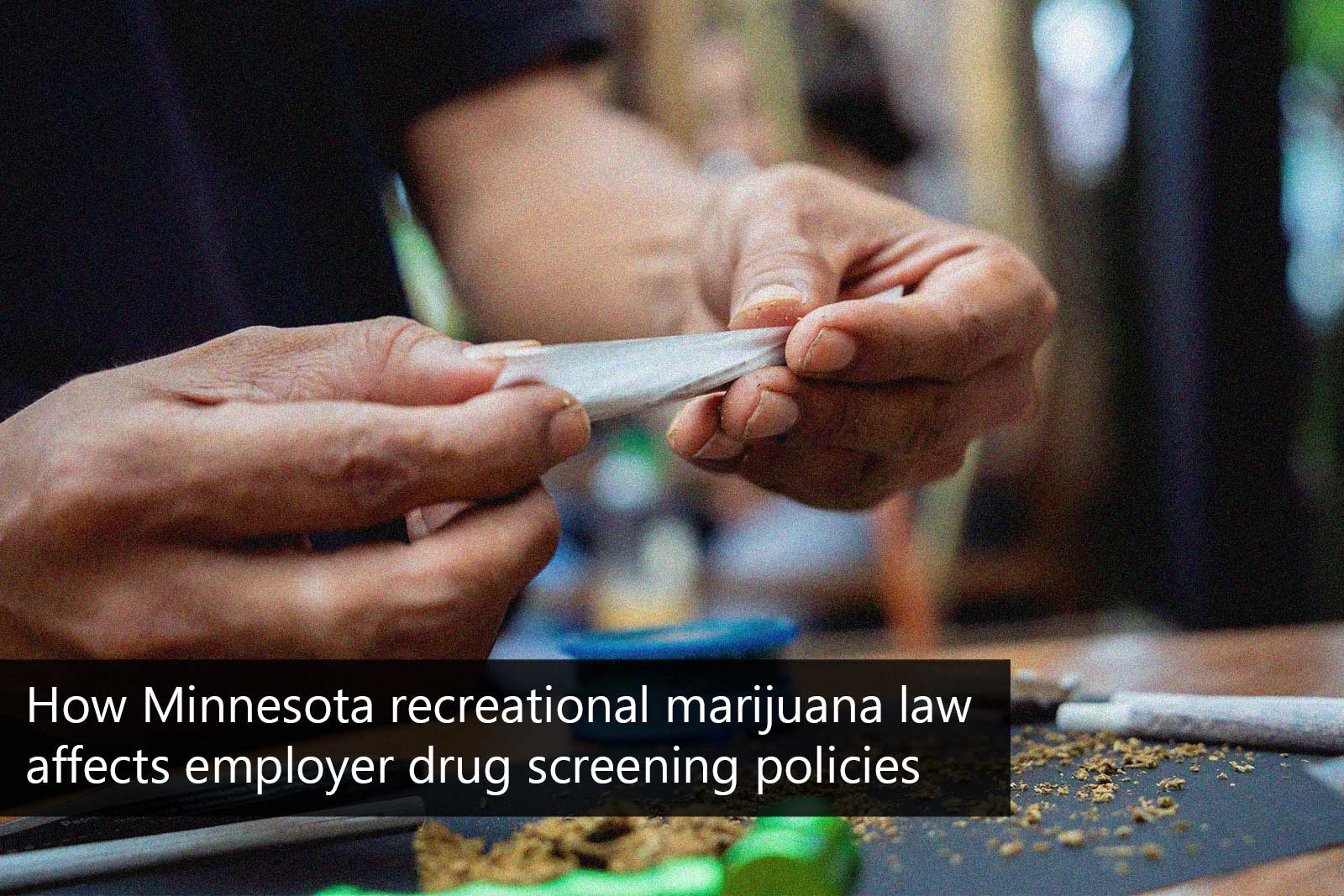 Impact of Minnesota Marijuana Law on Employer Drug Screening Policies